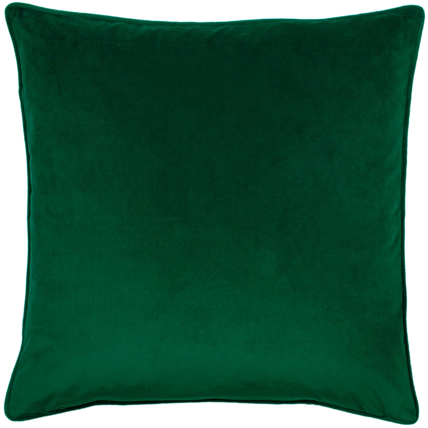 HORTUS 50X50 C/CASE EMERALD
