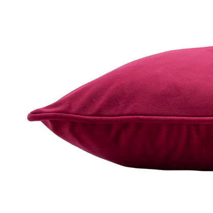 HORTUS 50X50 C/CASE FUCHSIA