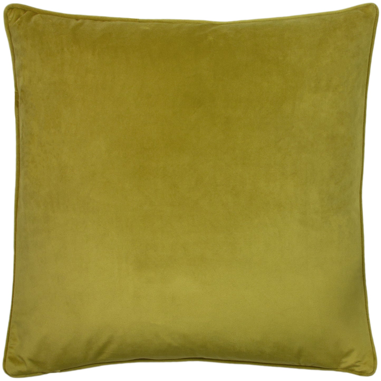 HORTUS 50X50 C/CASE OLIVE