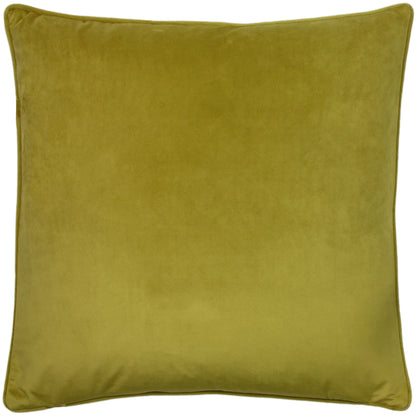 HORTUS 50X50 C/CASE OLIVE