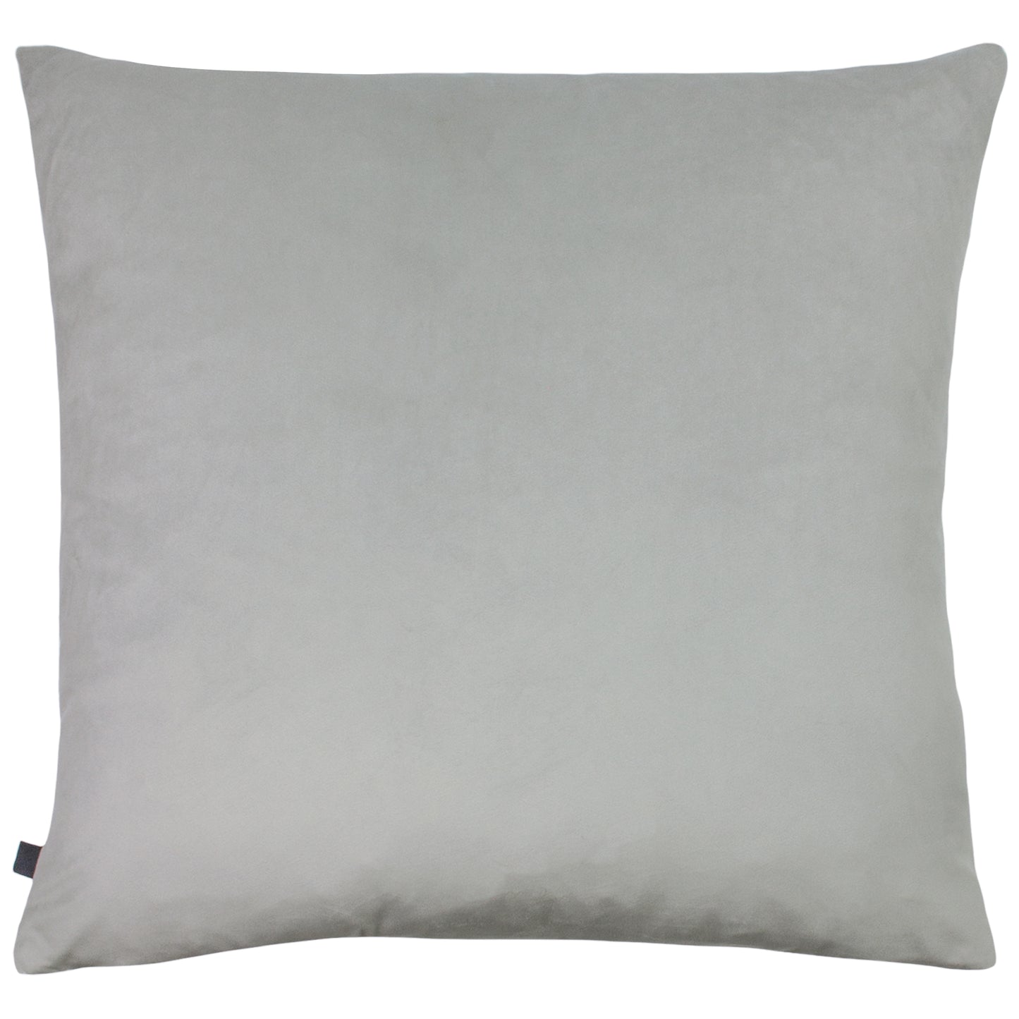 JADEN 50X50 C/CASE PEARL/SILVER