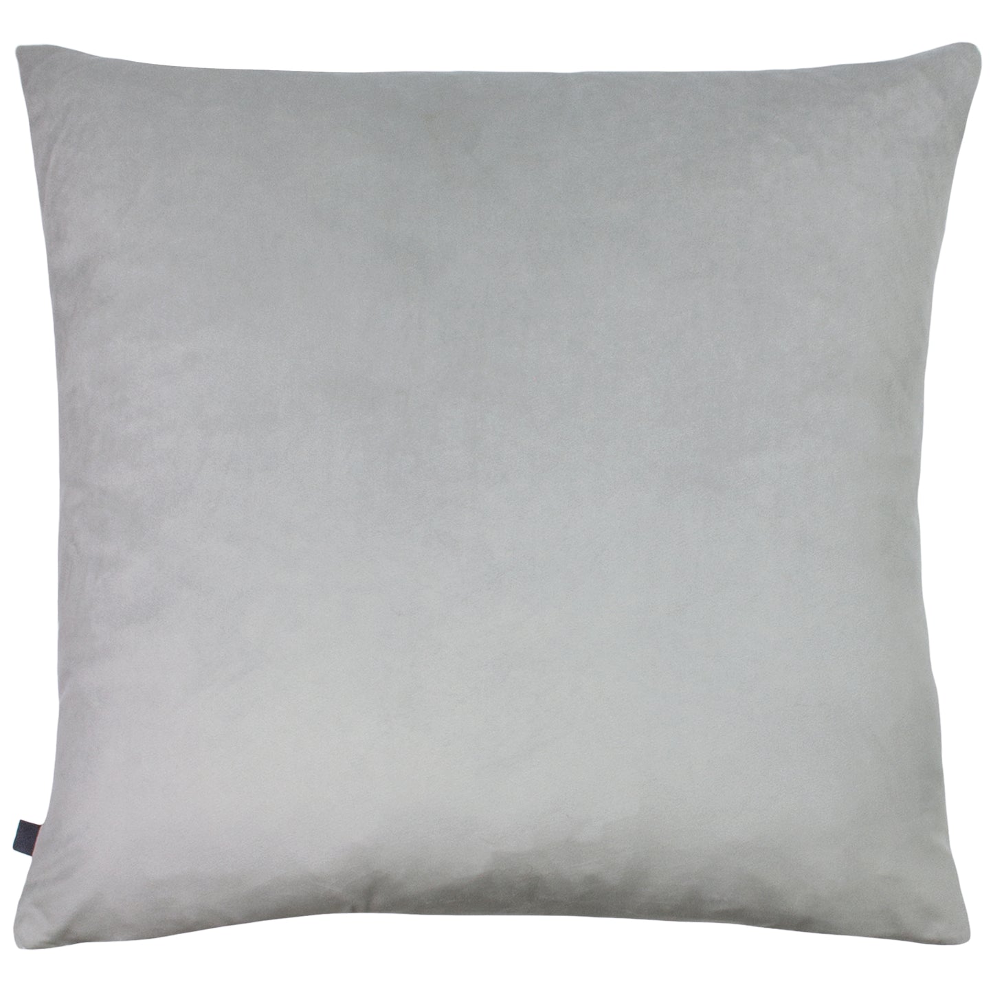 JAPONICA 50X50 C/CASE SILVER