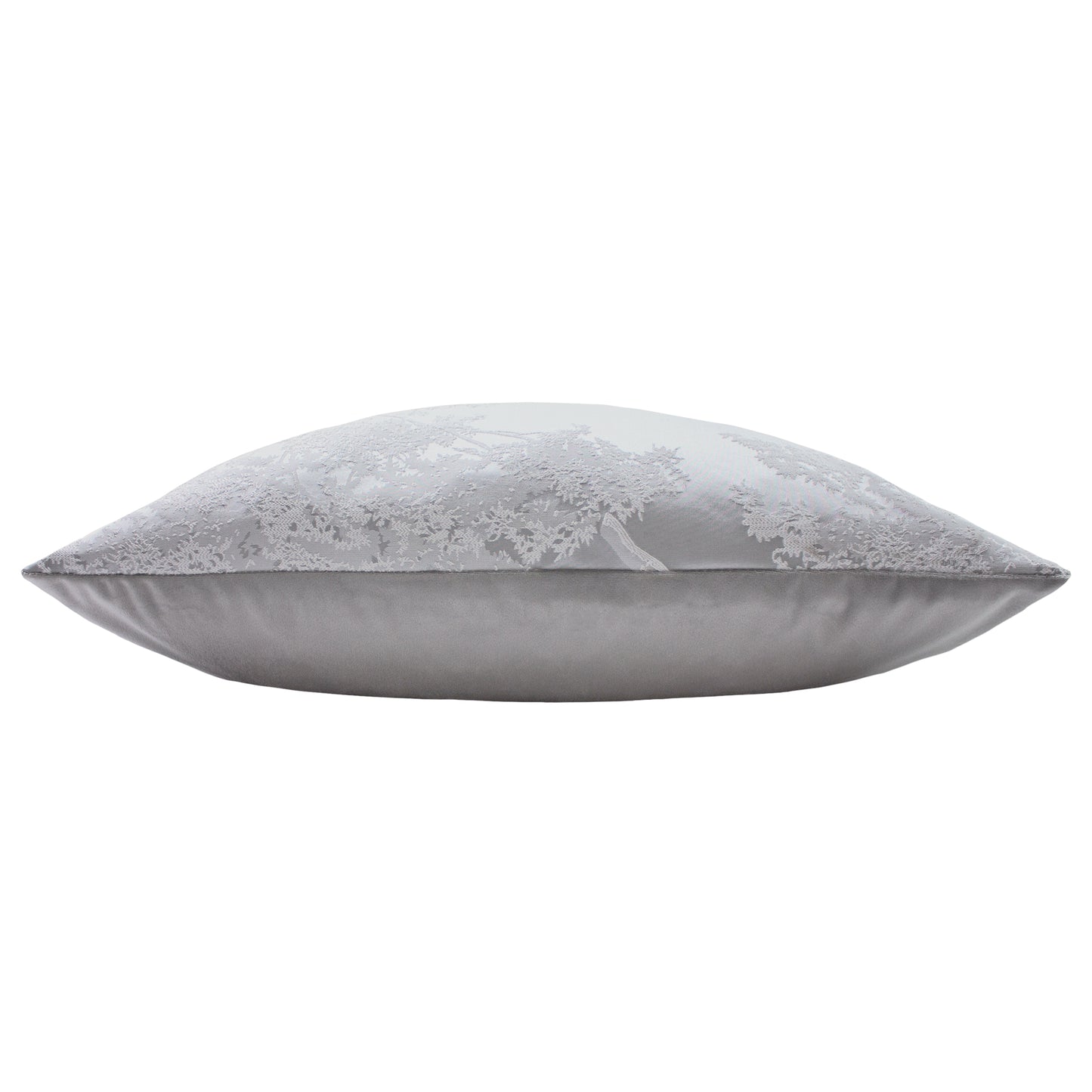 JAPONICA 50X50 C/CASE SILVER