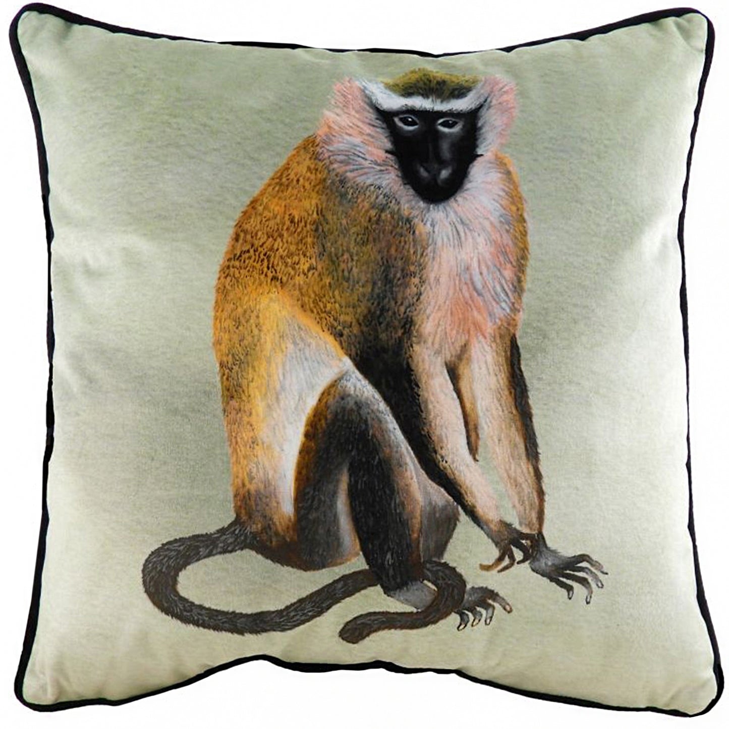 KIBALE MONKEY 43X43 C/CASE