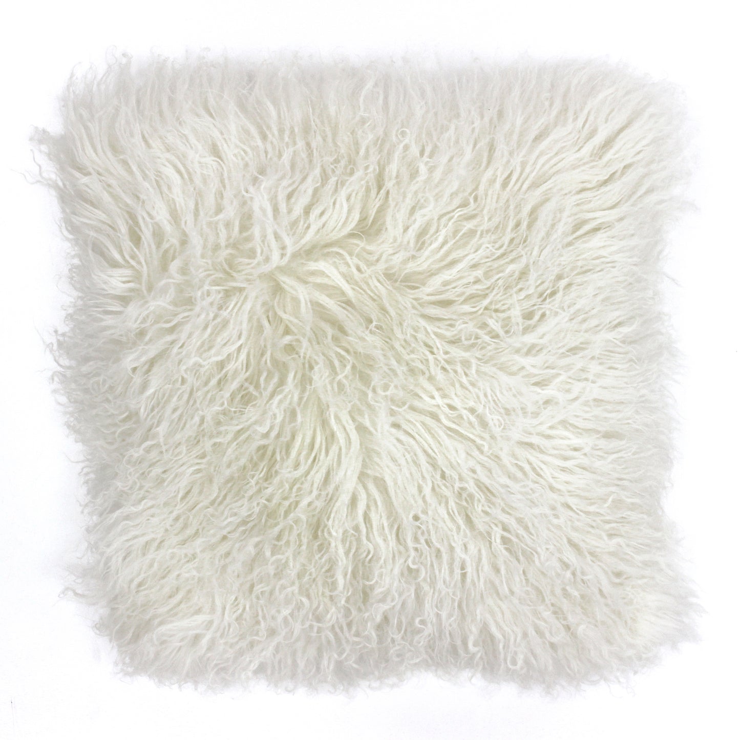 MONGOLIAN C/CASE 40X40 PRISTINE