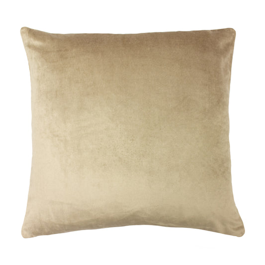 MOONLIGHT 50X50 C/CASE CHAMPAGNE