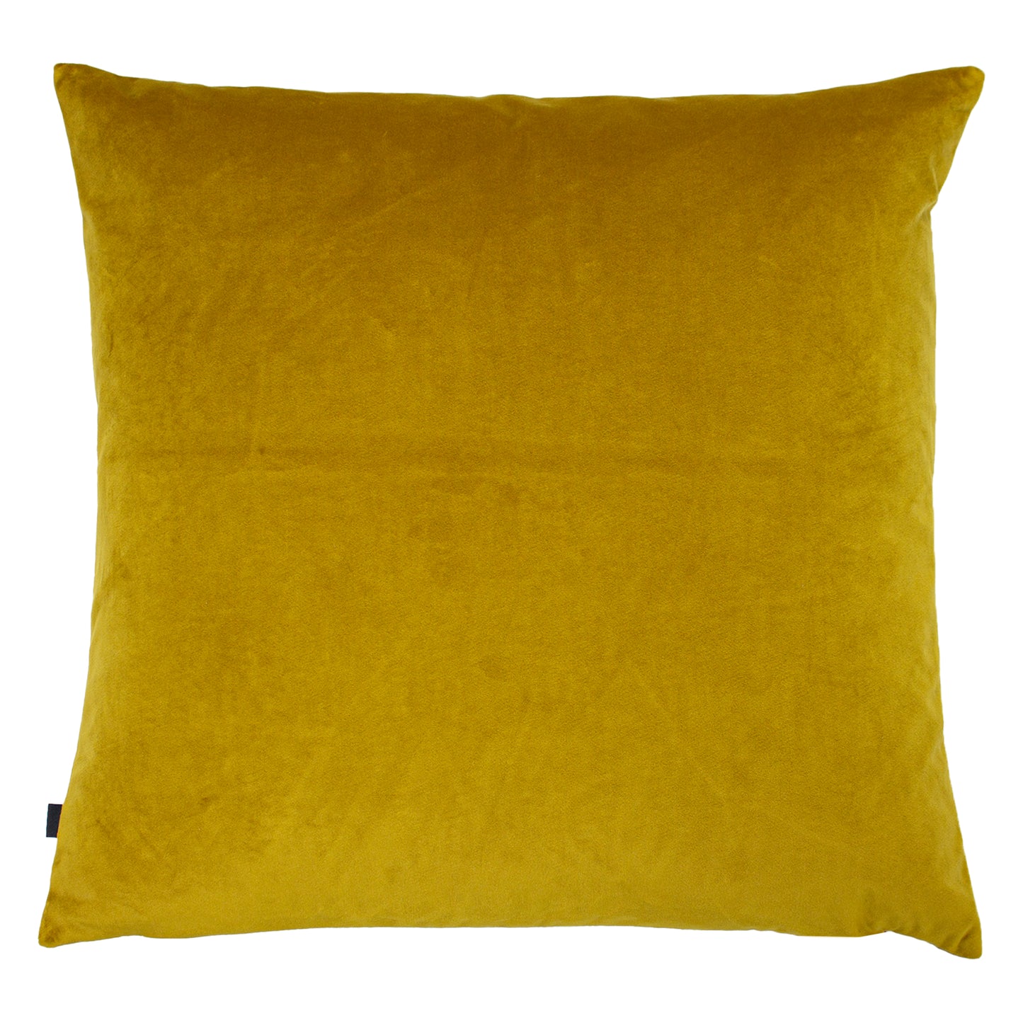 NASH 50X50 C/CASE ANTIQUE/GOLD