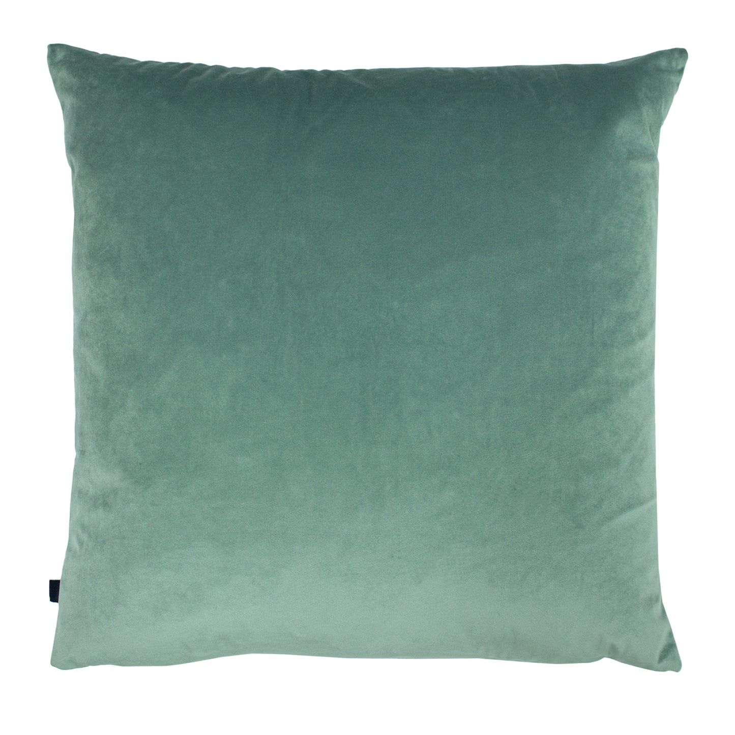 NASH 50X50 C/CASE SAGE/EAU DE NIL