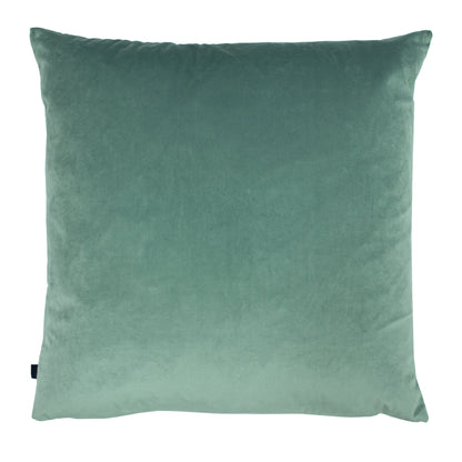 NASH 50X50 C/CASE SAGE/EAU DE NIL