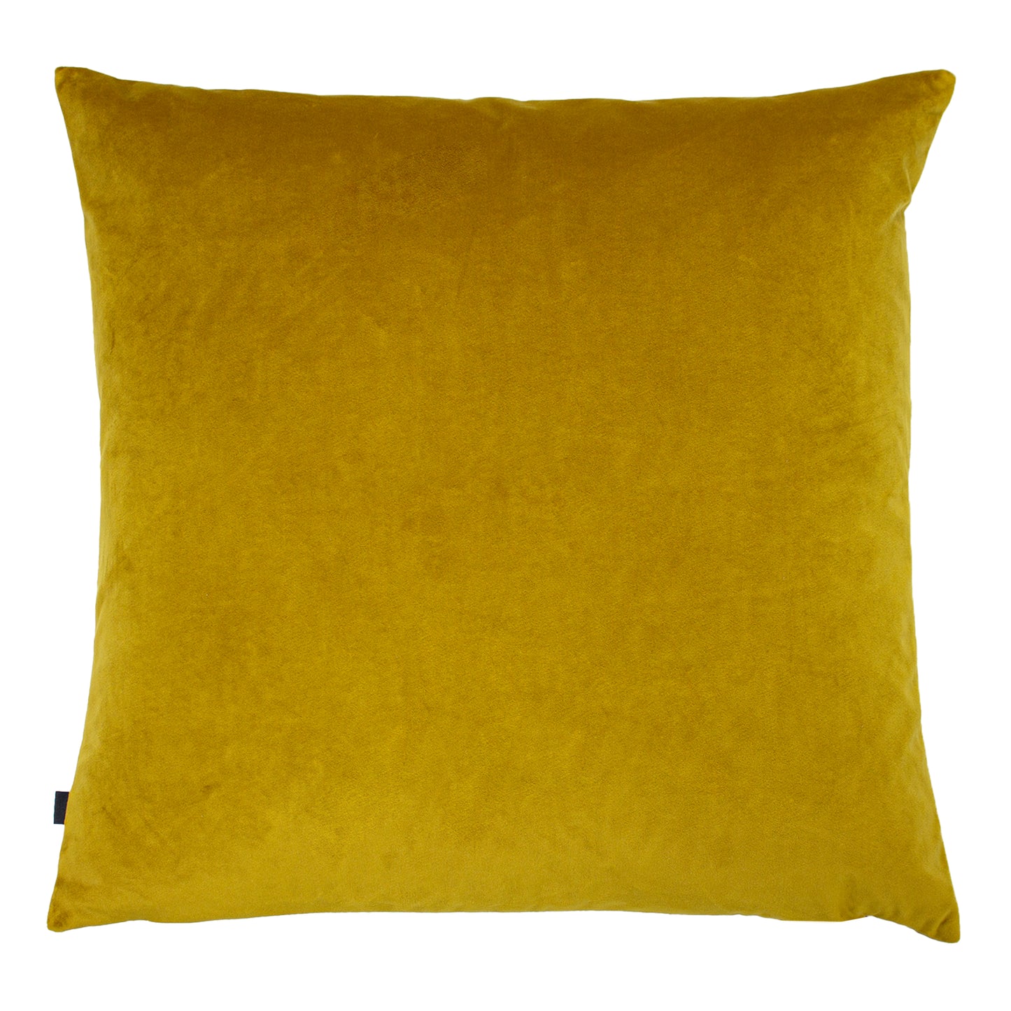 NEVADO 50X50 C/CASE GOLD