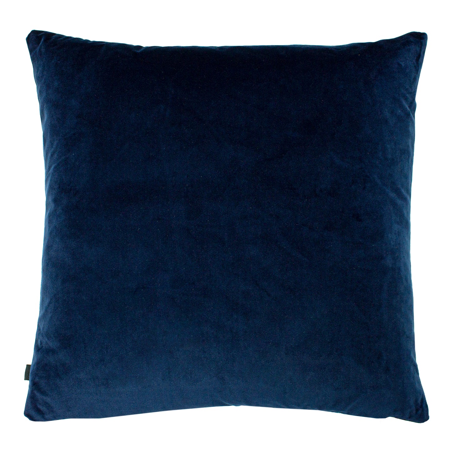 NEVADO 50X50 C/CASE INDIGO/ROYAL