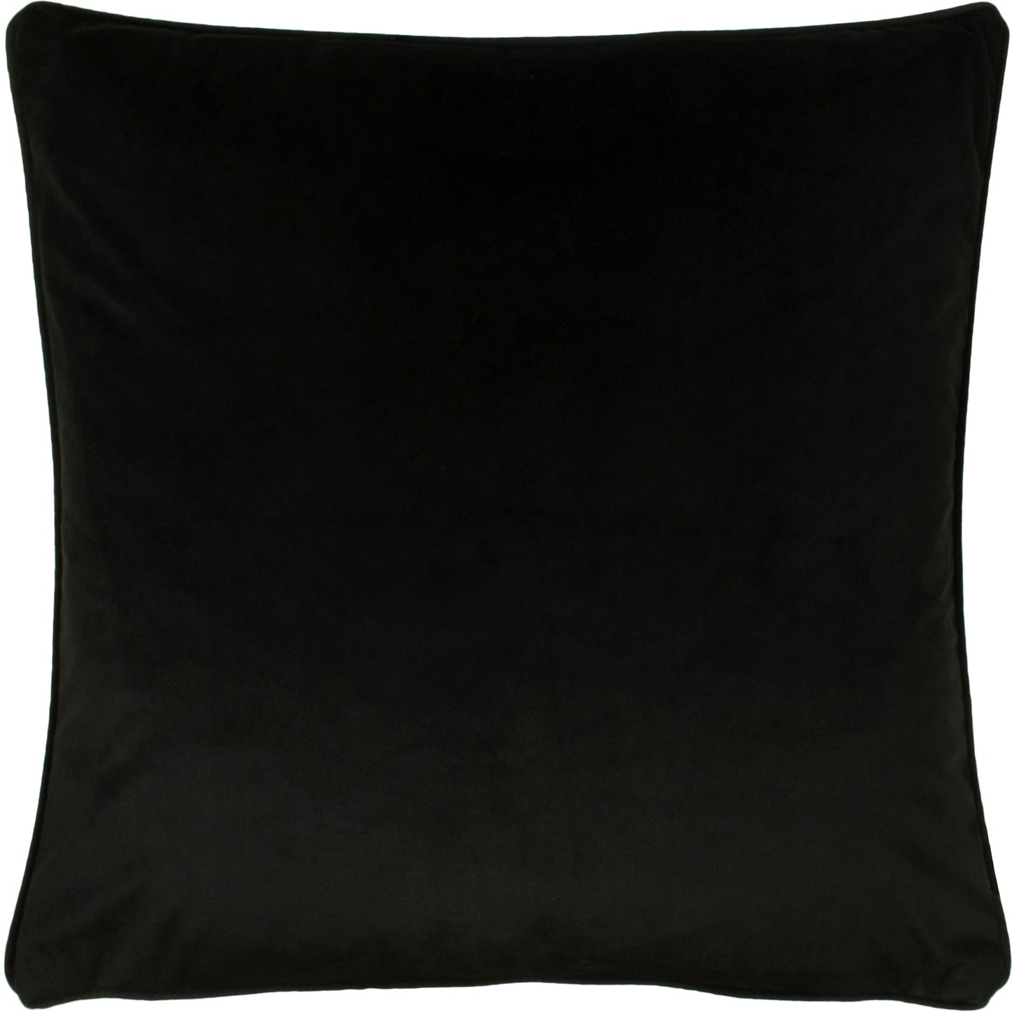 OPULENCE 55X55 C/CASE JET