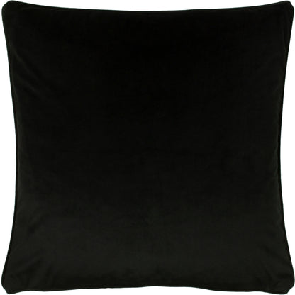 OPULENCE 55X55 C/CASE JET