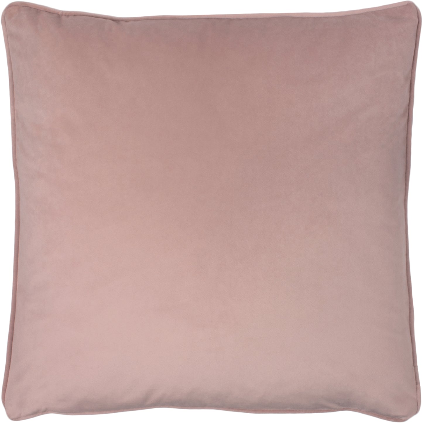 OPULENCE 55X55 C/CASE POWDER