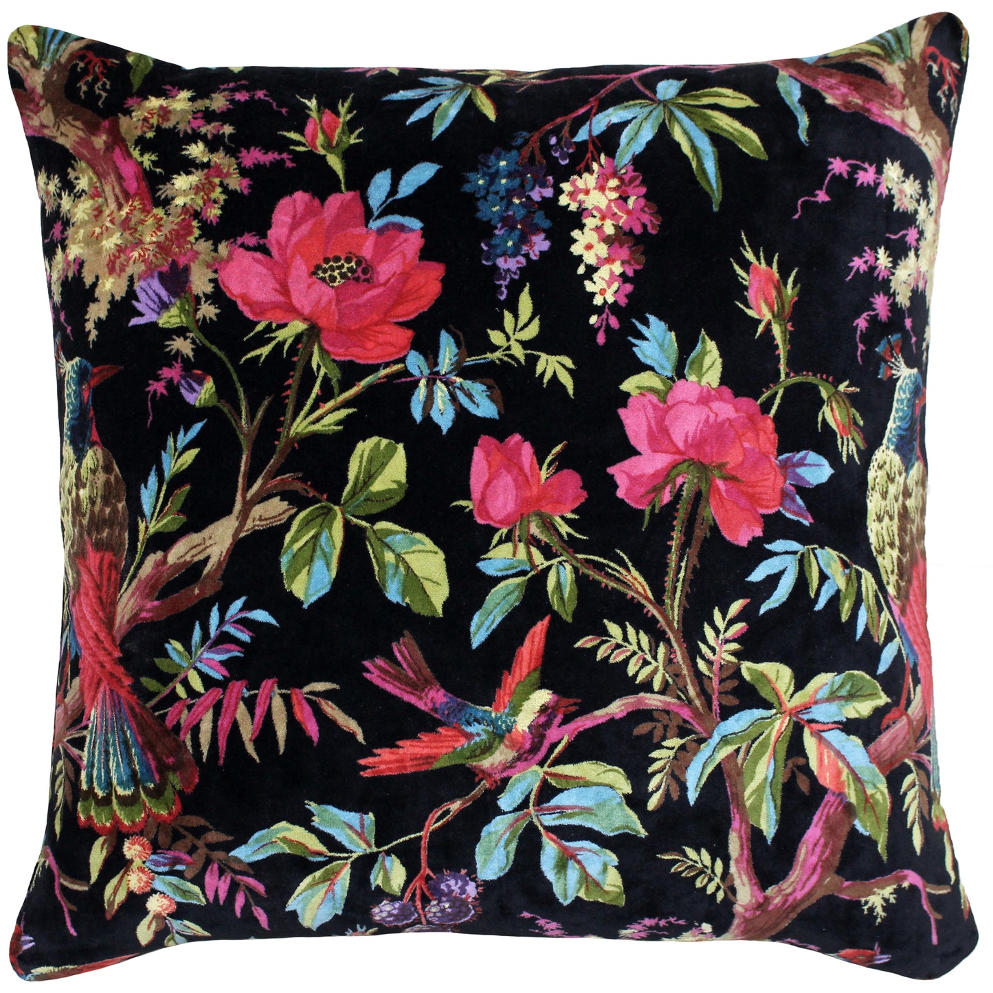 PARADISE 50X50 C/CASE BLACK