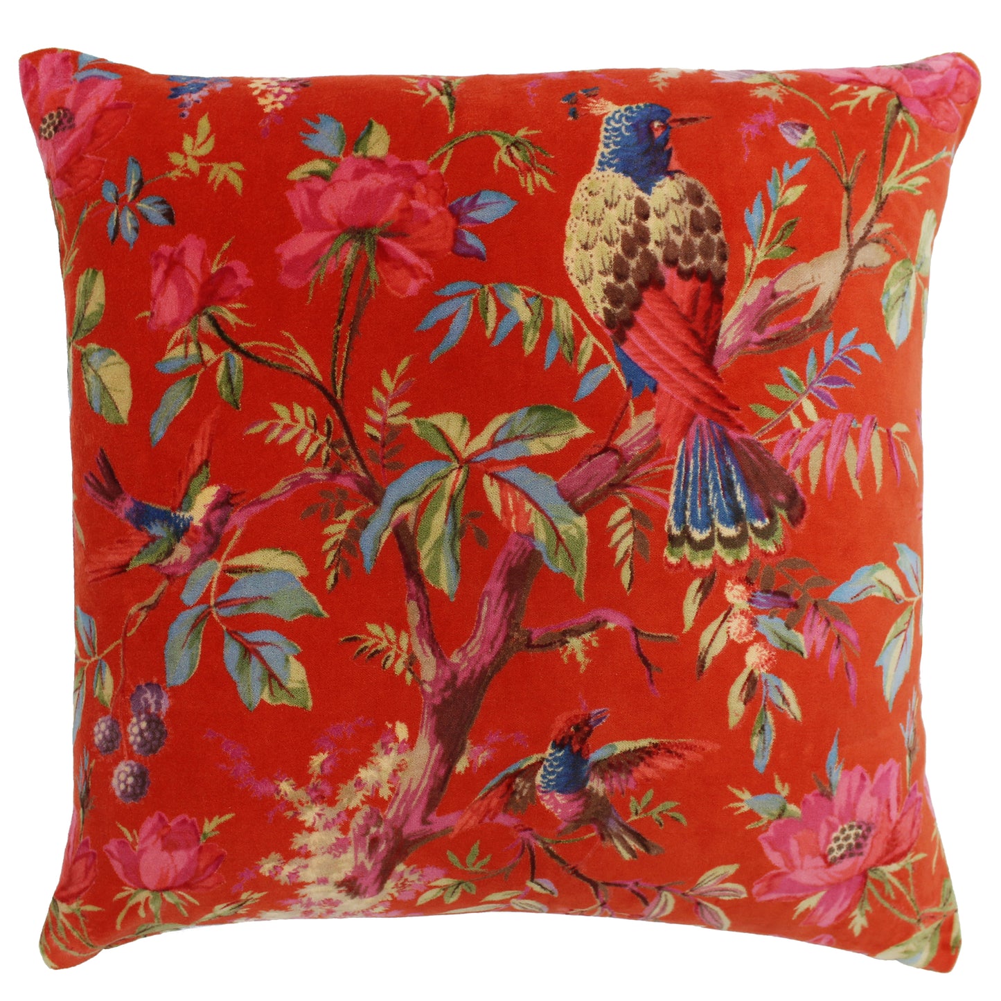 PARADISE 50X50 C/CASE ORANGE