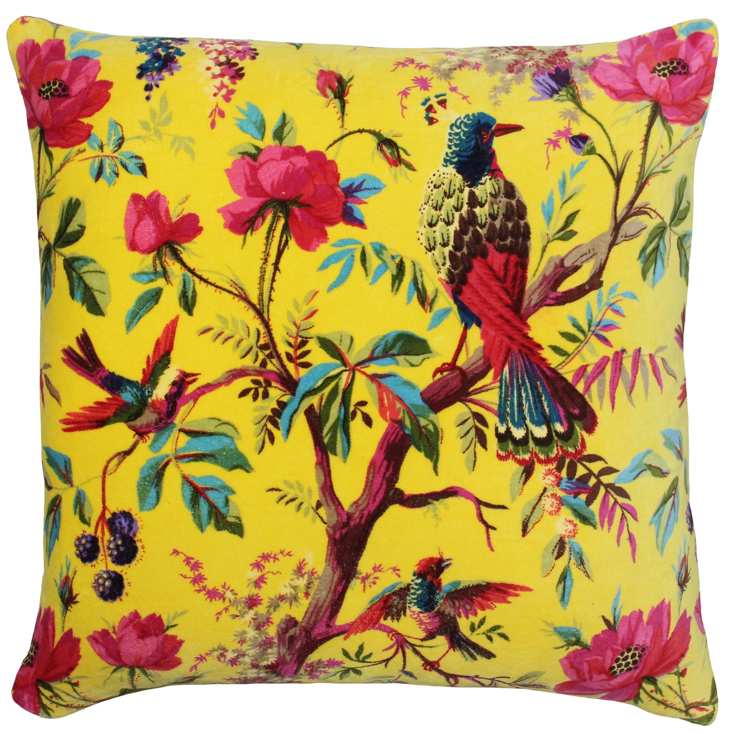 PARADISE 50X50 C/CASE YELLOW
