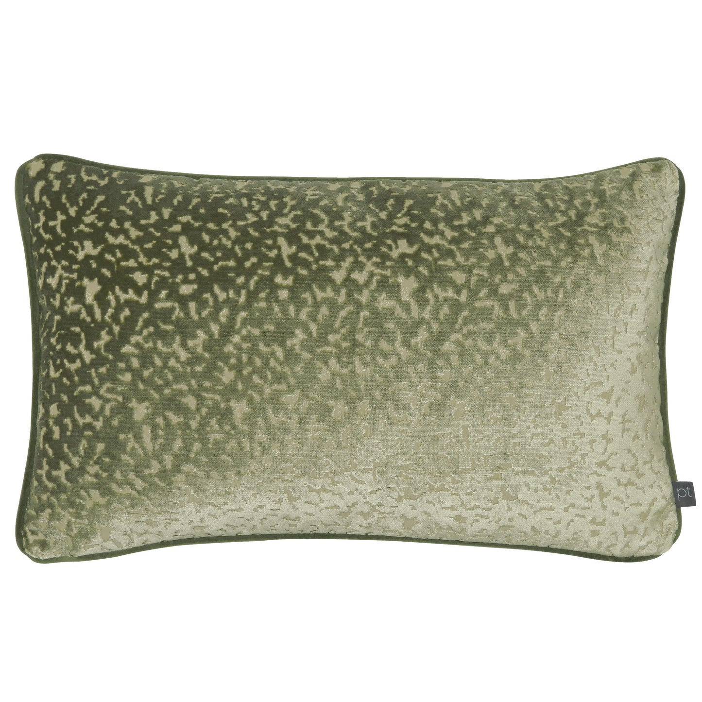 PHAROAH 30X50 C/CASE OLIVE
