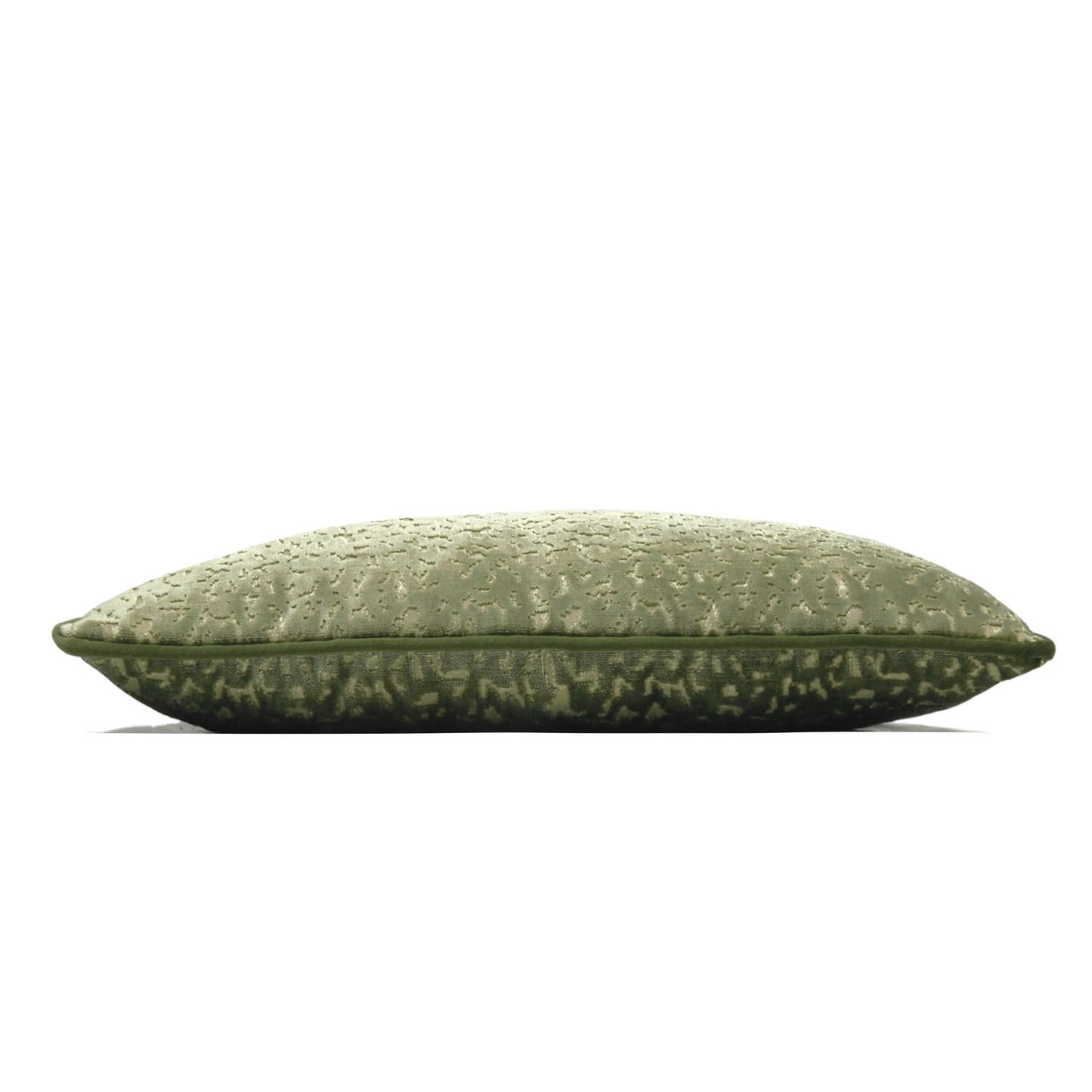 PHAROAH 30X50 C/CASE OLIVE