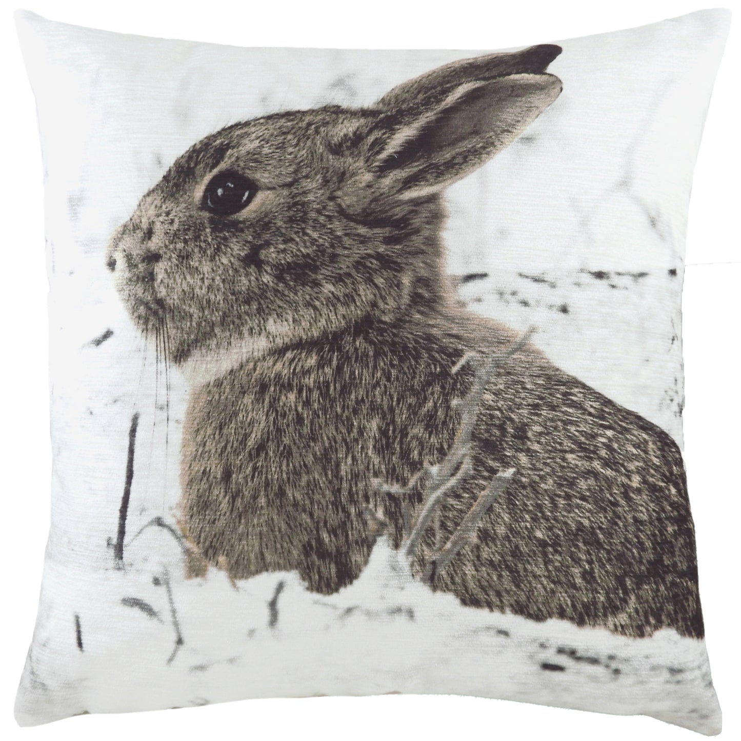 PHOTO HARE 43X43 C/CASE MULTI