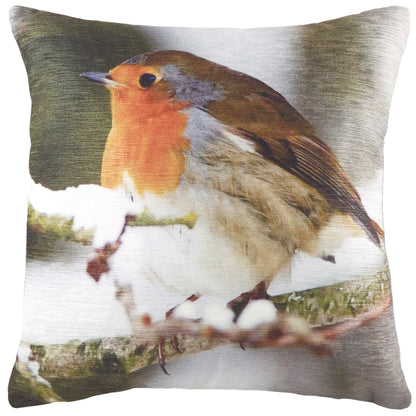 PHOTO ROBIN 43X43 C/CASE MULTI