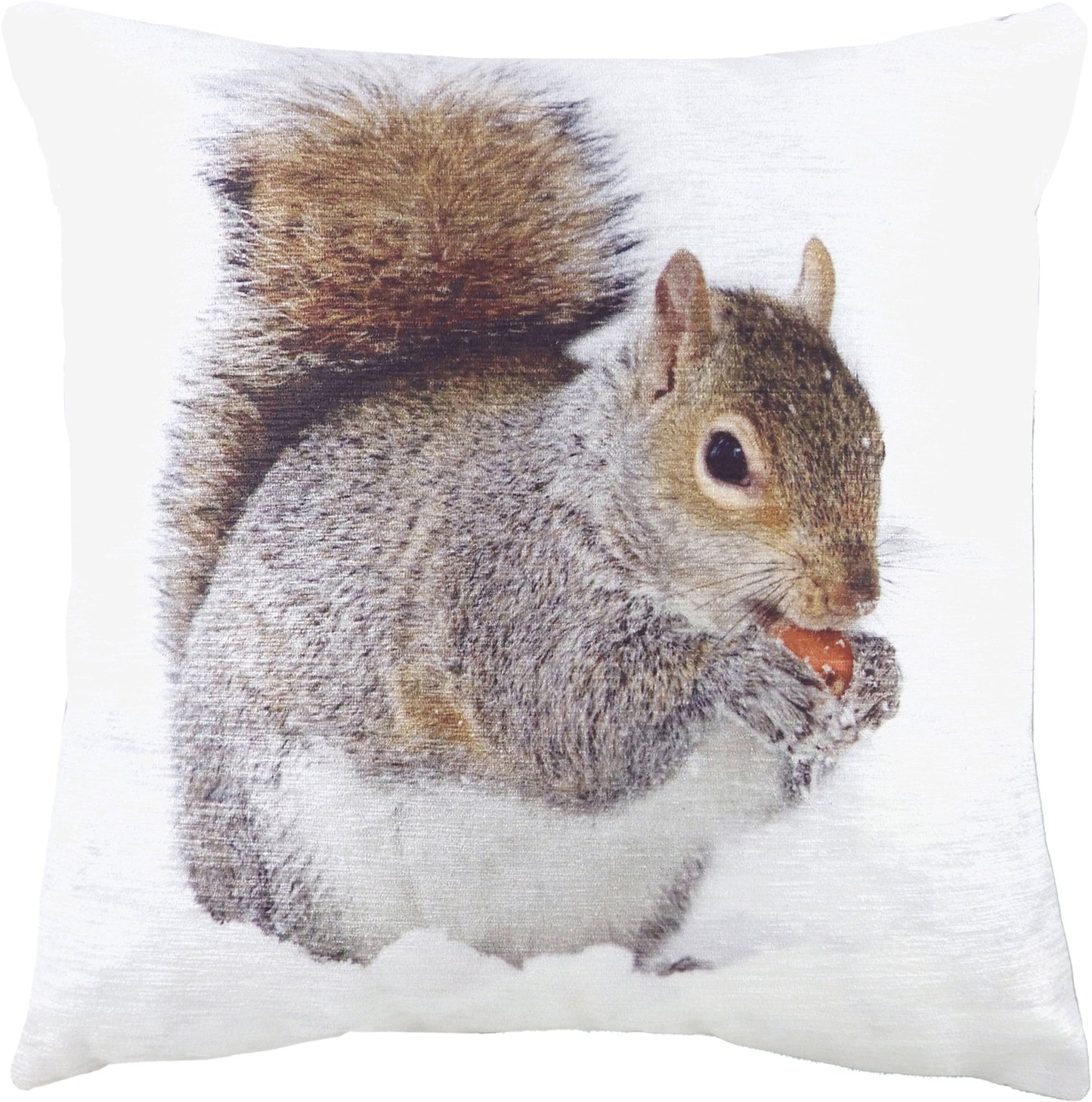 PHOTO SQUIRREL 43X43 C/CASE MULTI