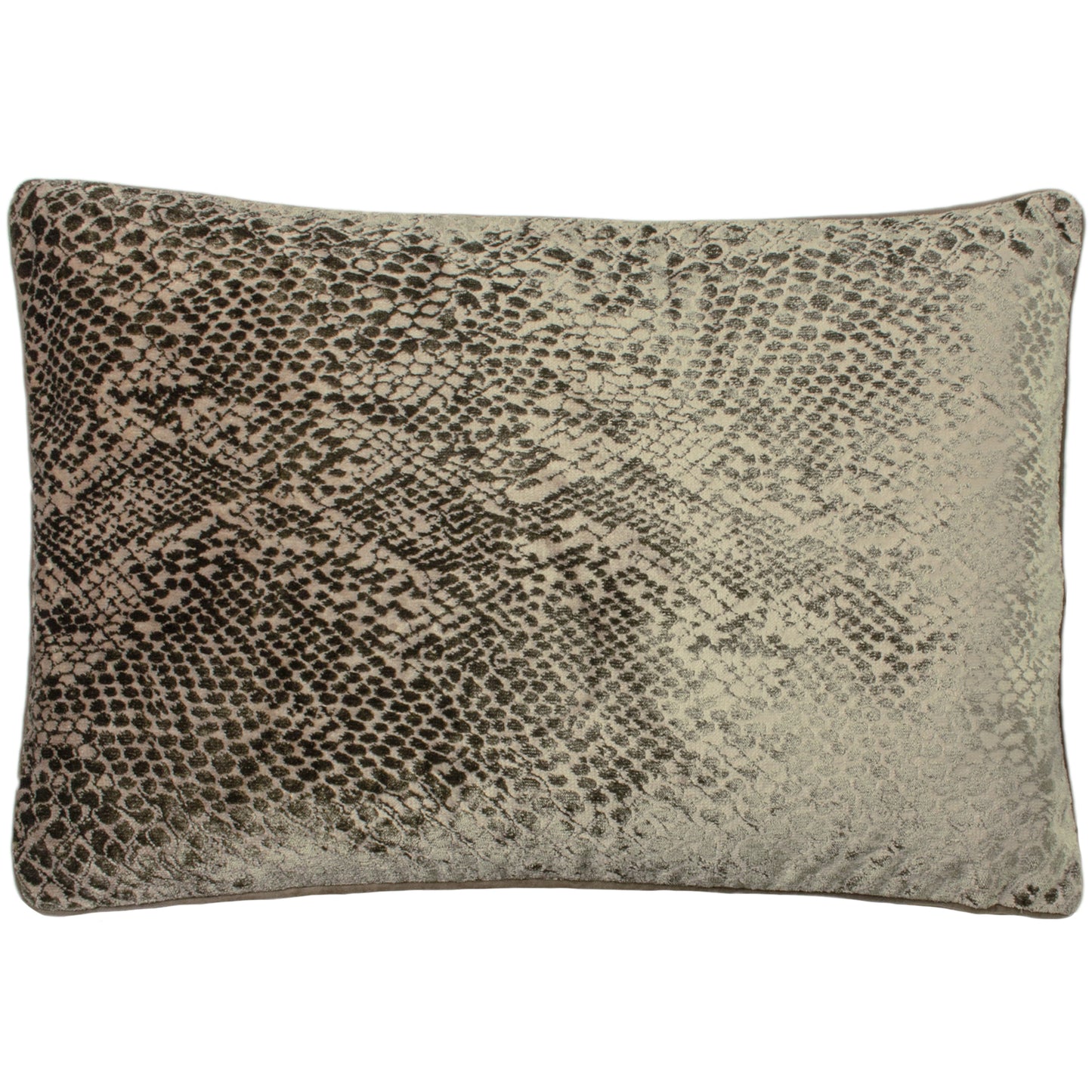 PYTHON 40X60 C/CASE CHAMPAGNE