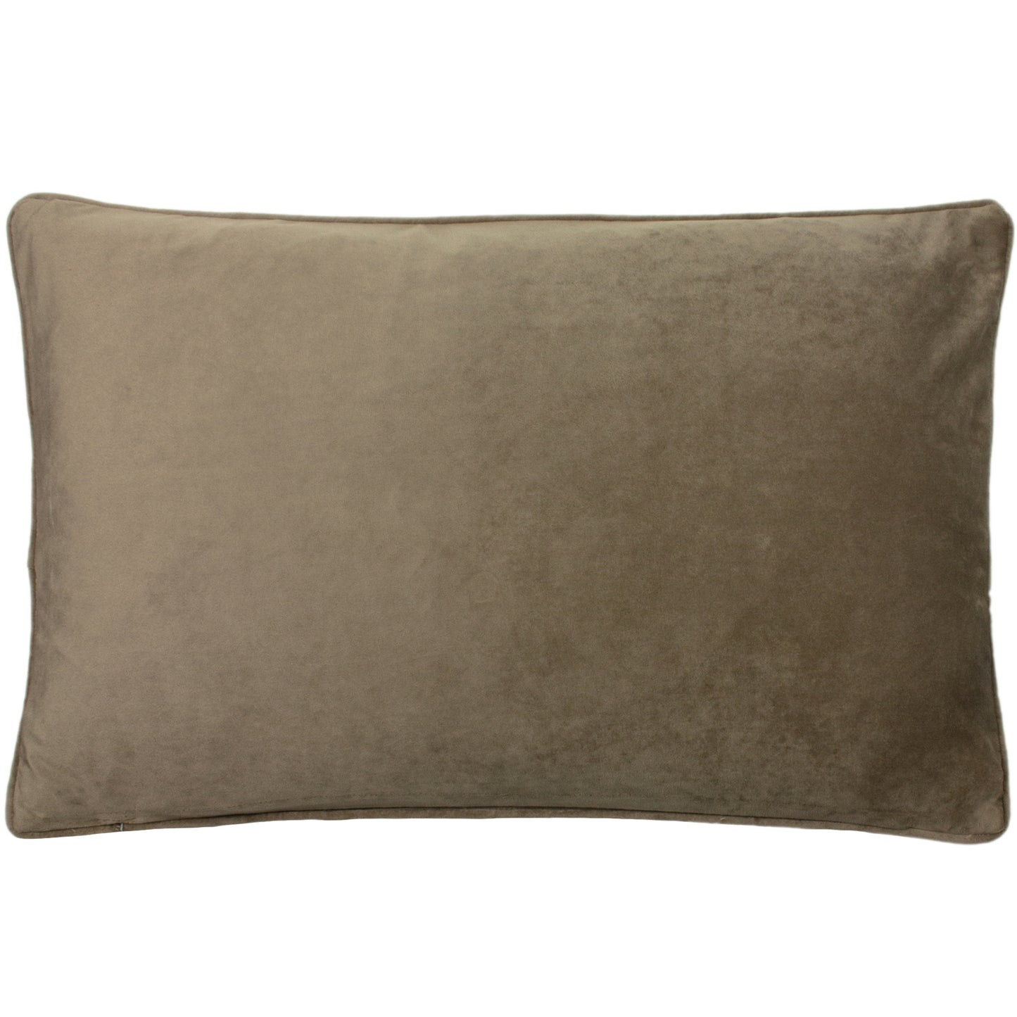 PYTHON 40X60 C/CASE CHAMPAGNE