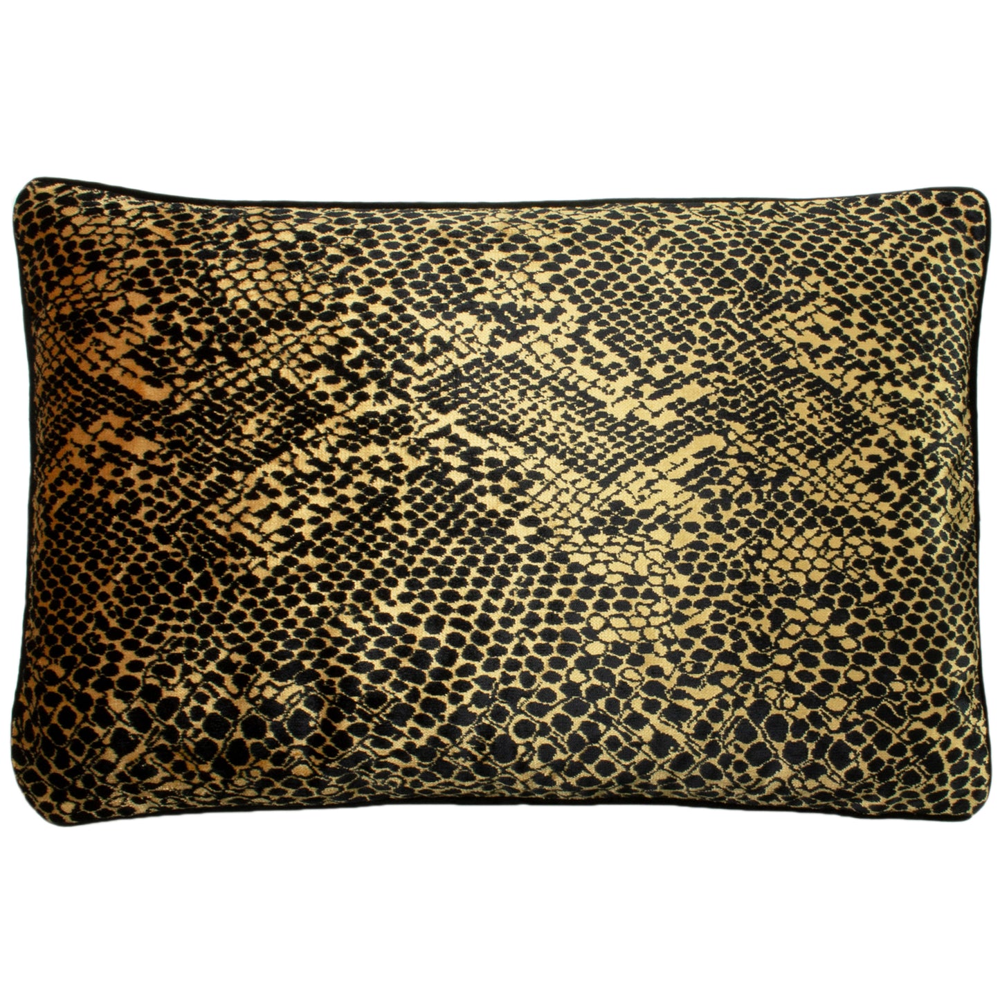 PYTHON 40X60 C/CASE GOLD