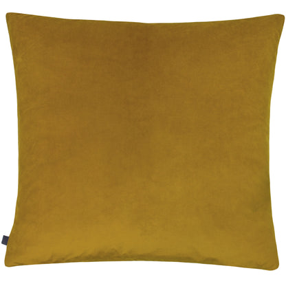 RION 50X50 C/CASE SUNSHINE/GOLD