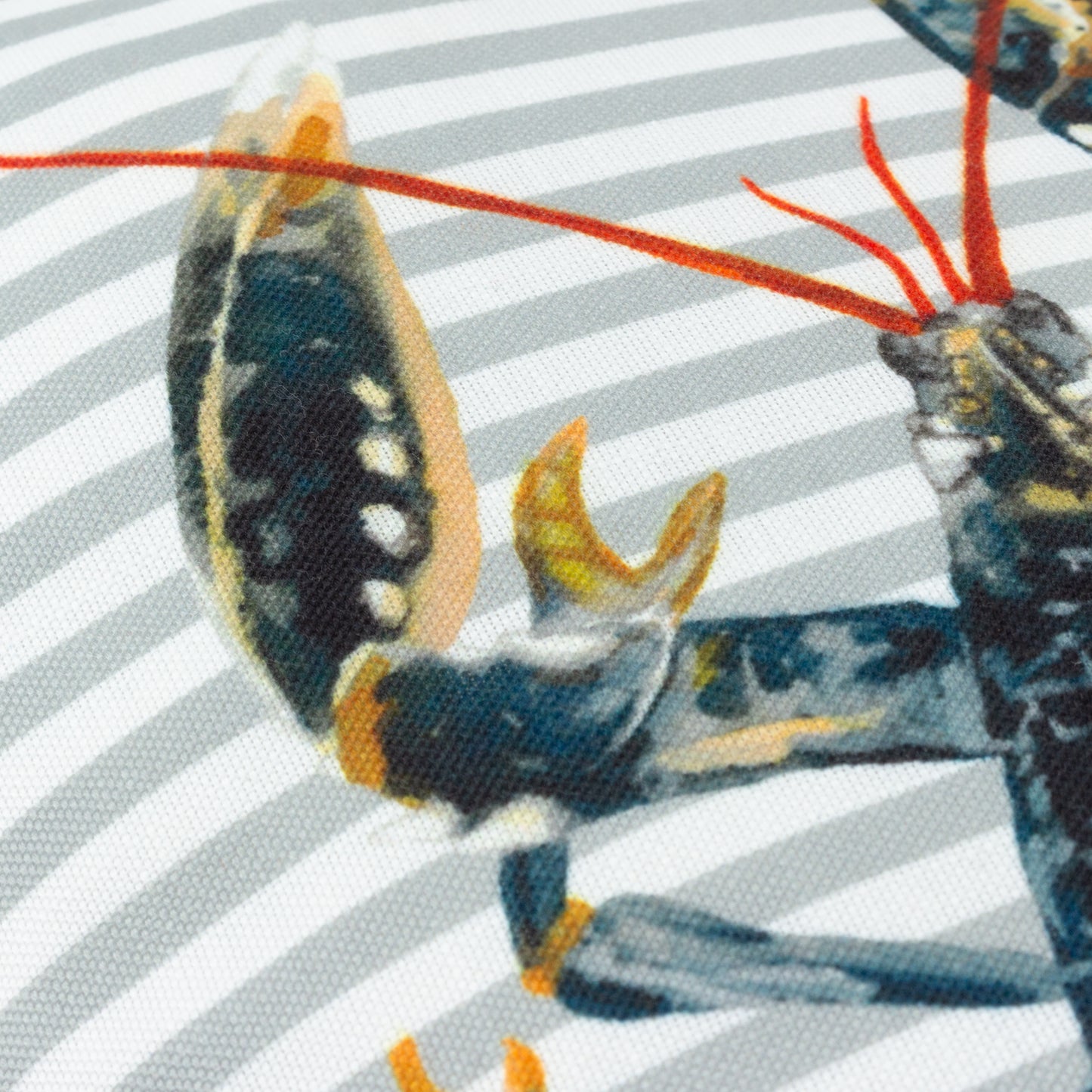 SALCOMBE LOBSTER 30X50 CUSHION CASE MULTI