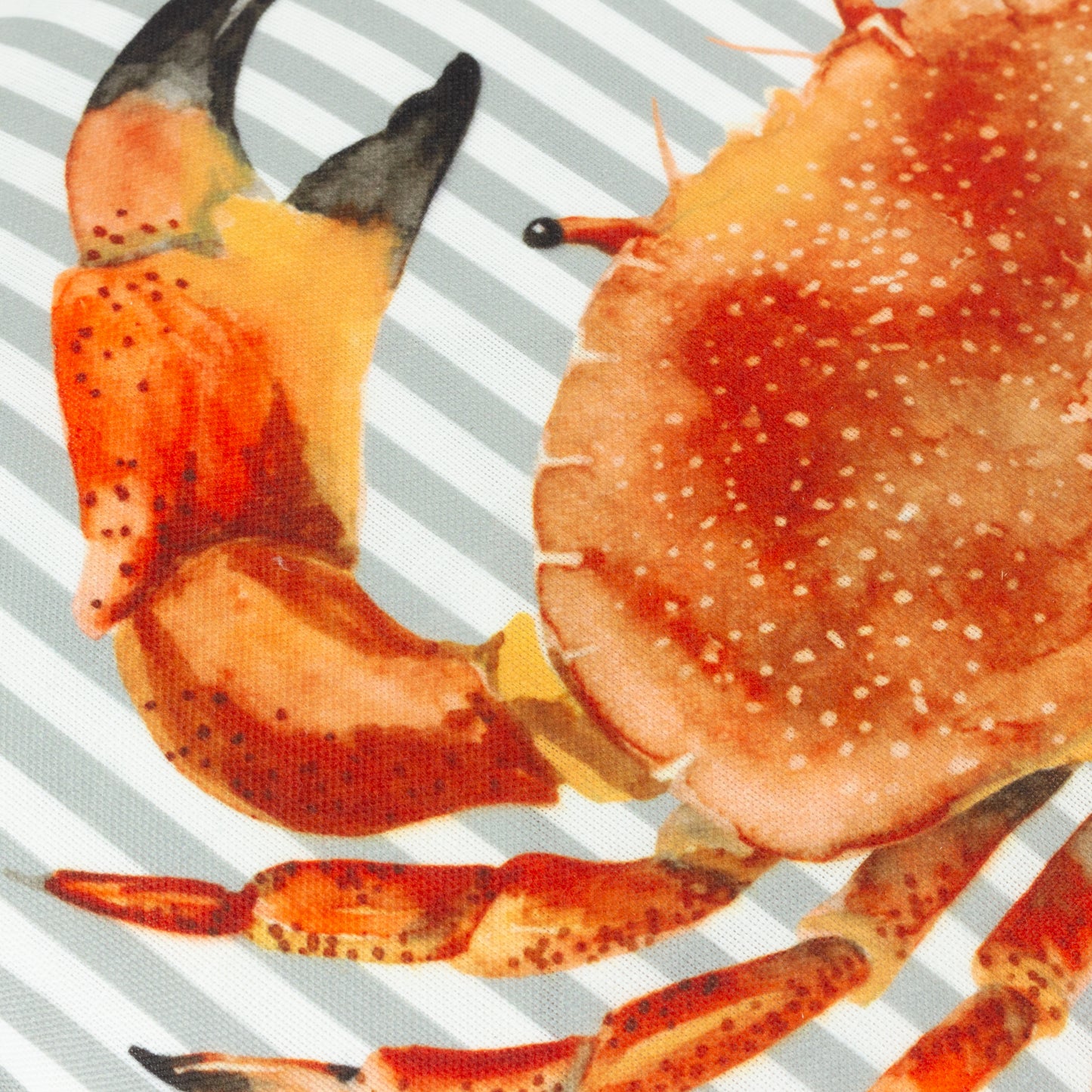 SALCOMBE CRAB 43X43 CUSHION CASE MULTI
