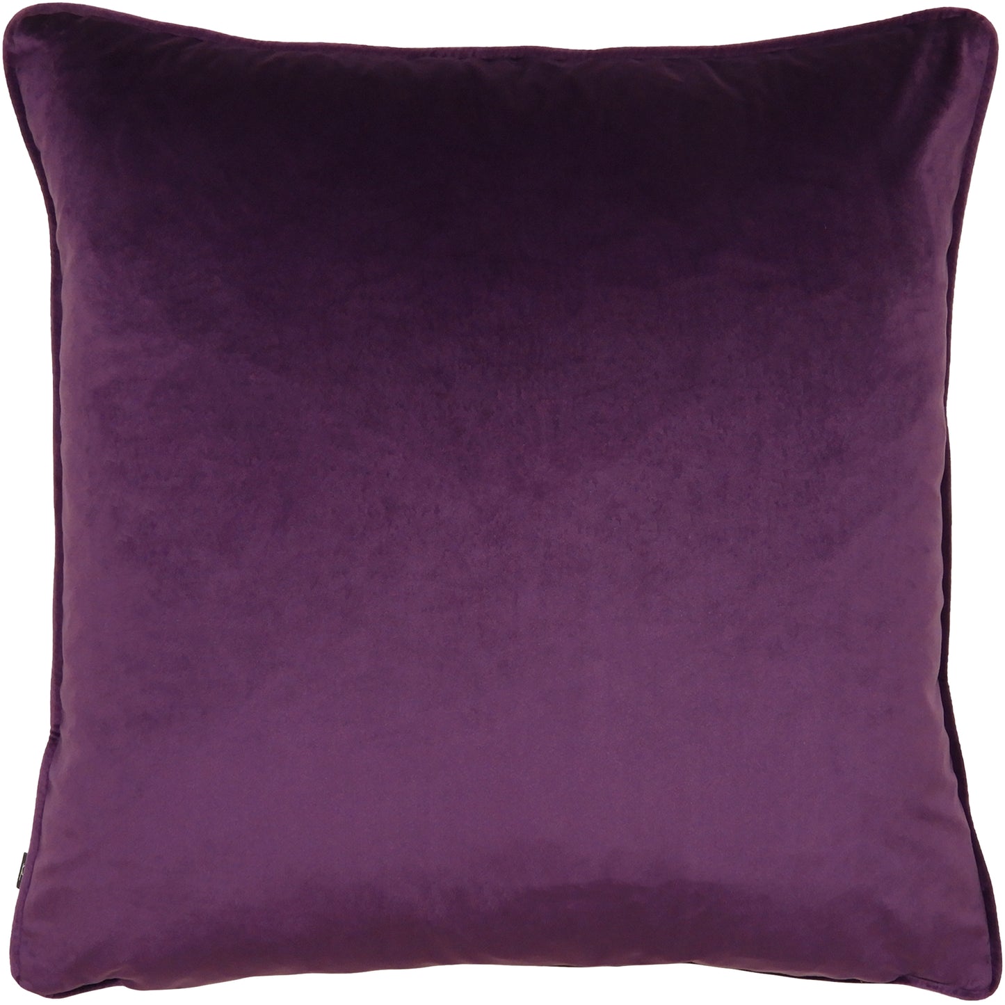 SECRET OASIS 55X55 C/CASE ULTRA VIOLET