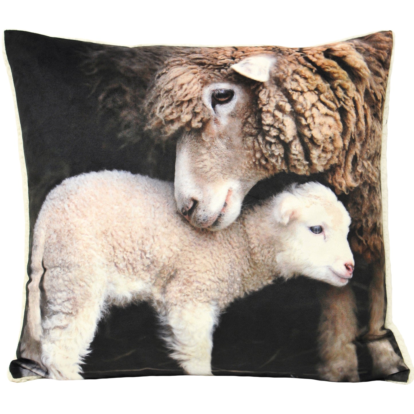 SHERPA LAMB 50X50 C/CASE
