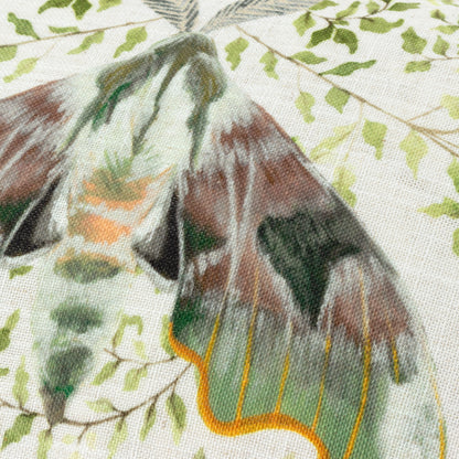SHUGBOROUGH MOTH 30X50 CUSHION CASE MULTI