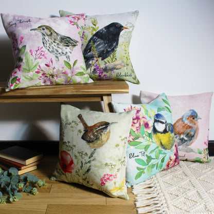SB SONG THRUSH 43X43 C/CASE MULTI