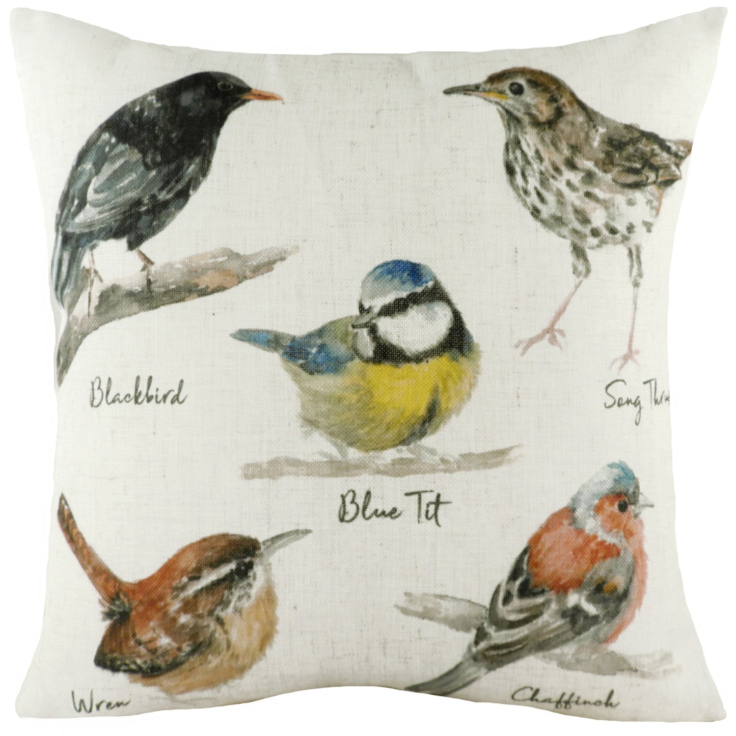 SPECIES BIRDS 43X43 C/CASE MULTI