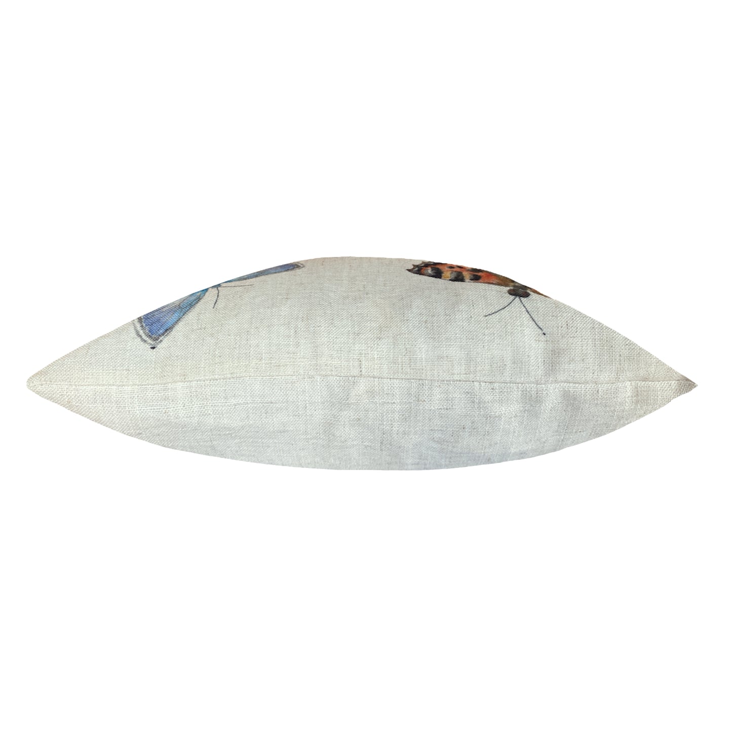 SPECIES BUTTERFLY 43X43 C/CASE MULTI