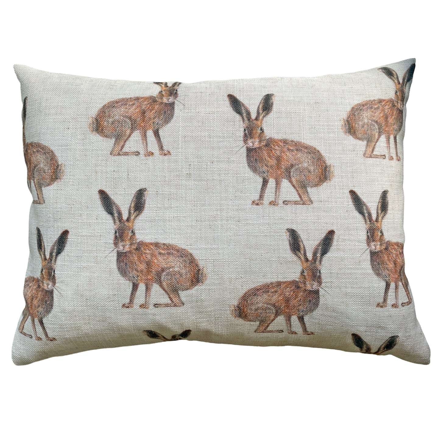 STANDING HARE 43X33 C/CASE MULTI