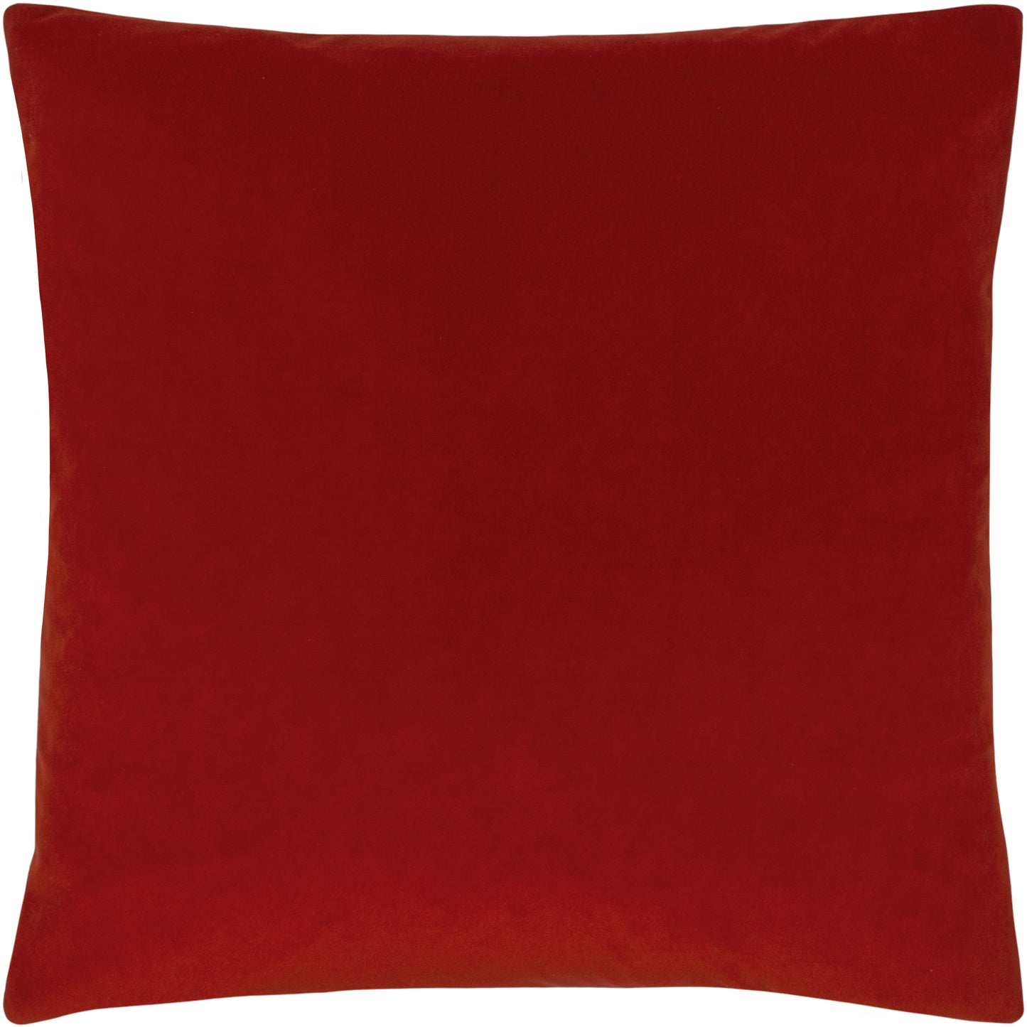 SUNNINGDALE 50X50 C/CASE FLAME