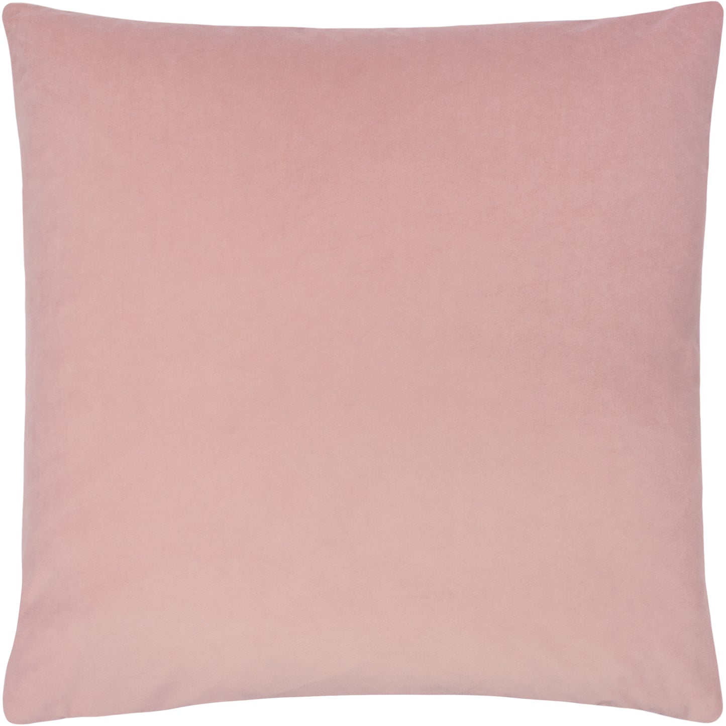 SUNNINGDALE 50X50 C/CASE POWDER