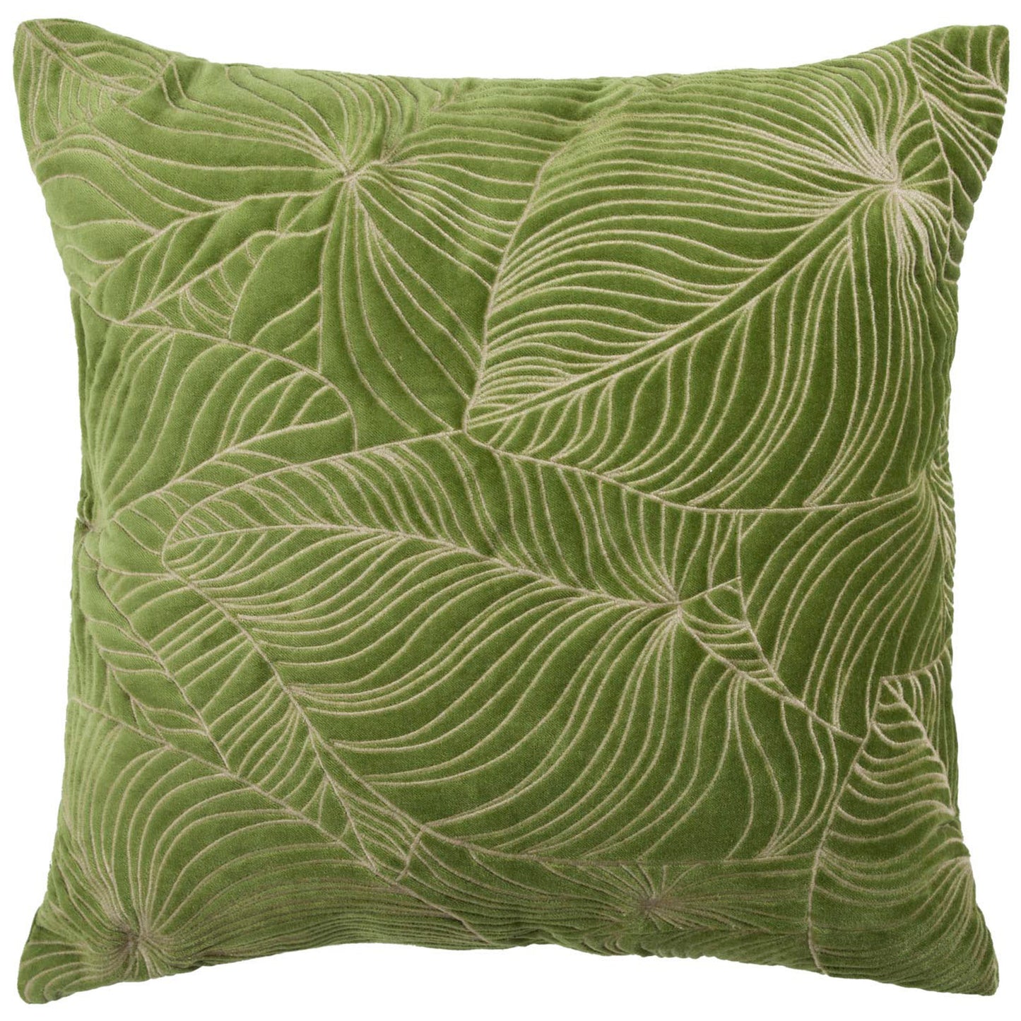 TARO 50x50 CUSHION CASE GRASS