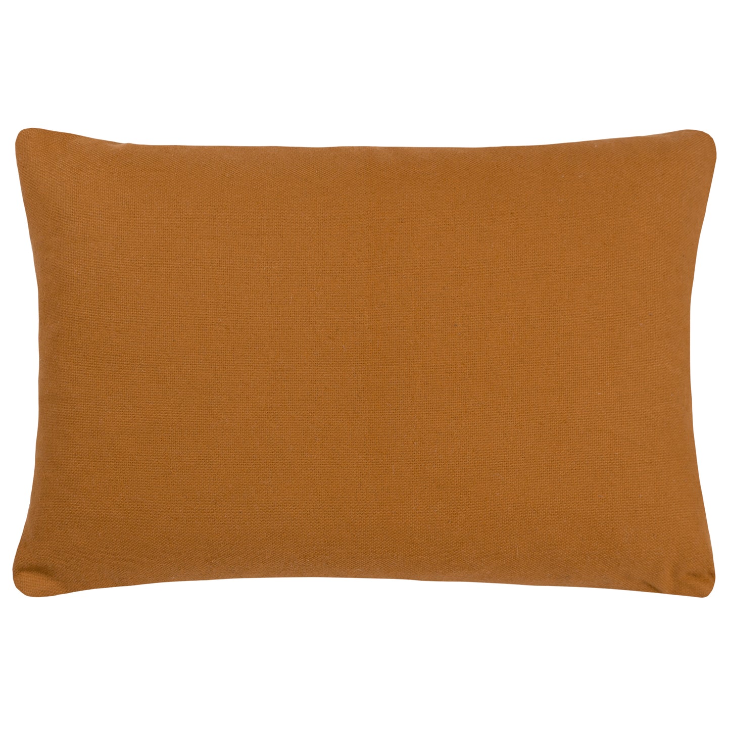 TAYA 40X60 CUSHION CASE GOLD