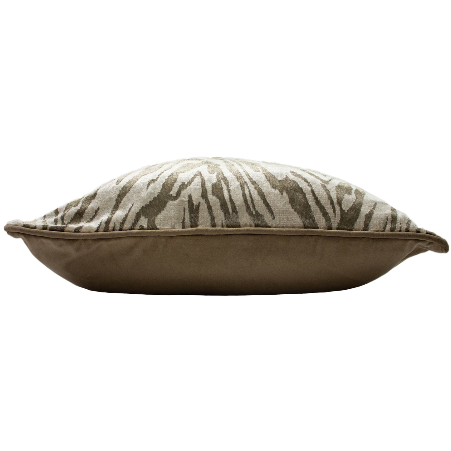 TIGRIS 55X55 C/CASE CHAMPAGNE