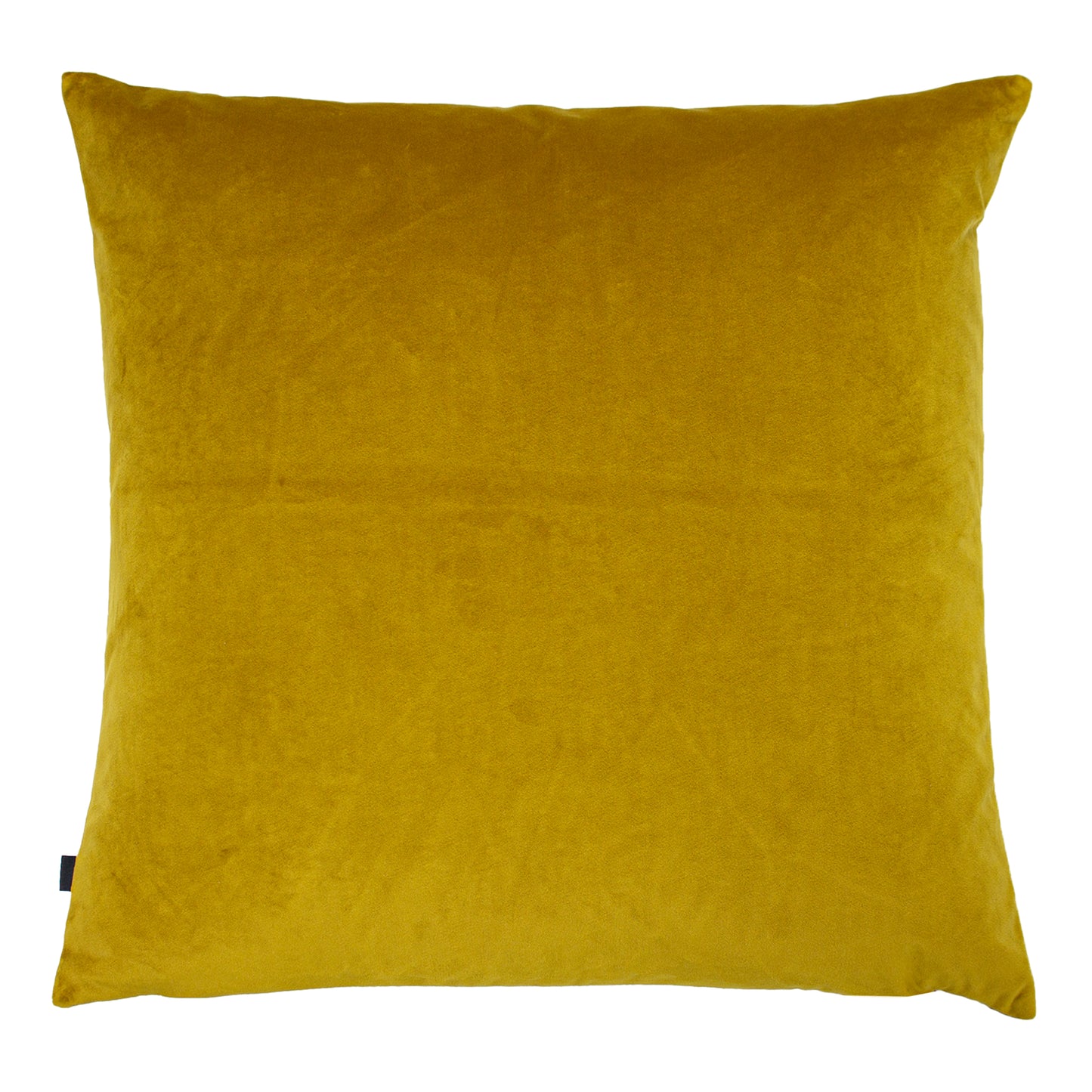 TURI 50X50 C/CASE SUNFLOWER/GOLD
