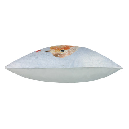 XMAS ROBIN 43X43 C/CASE MULTI
