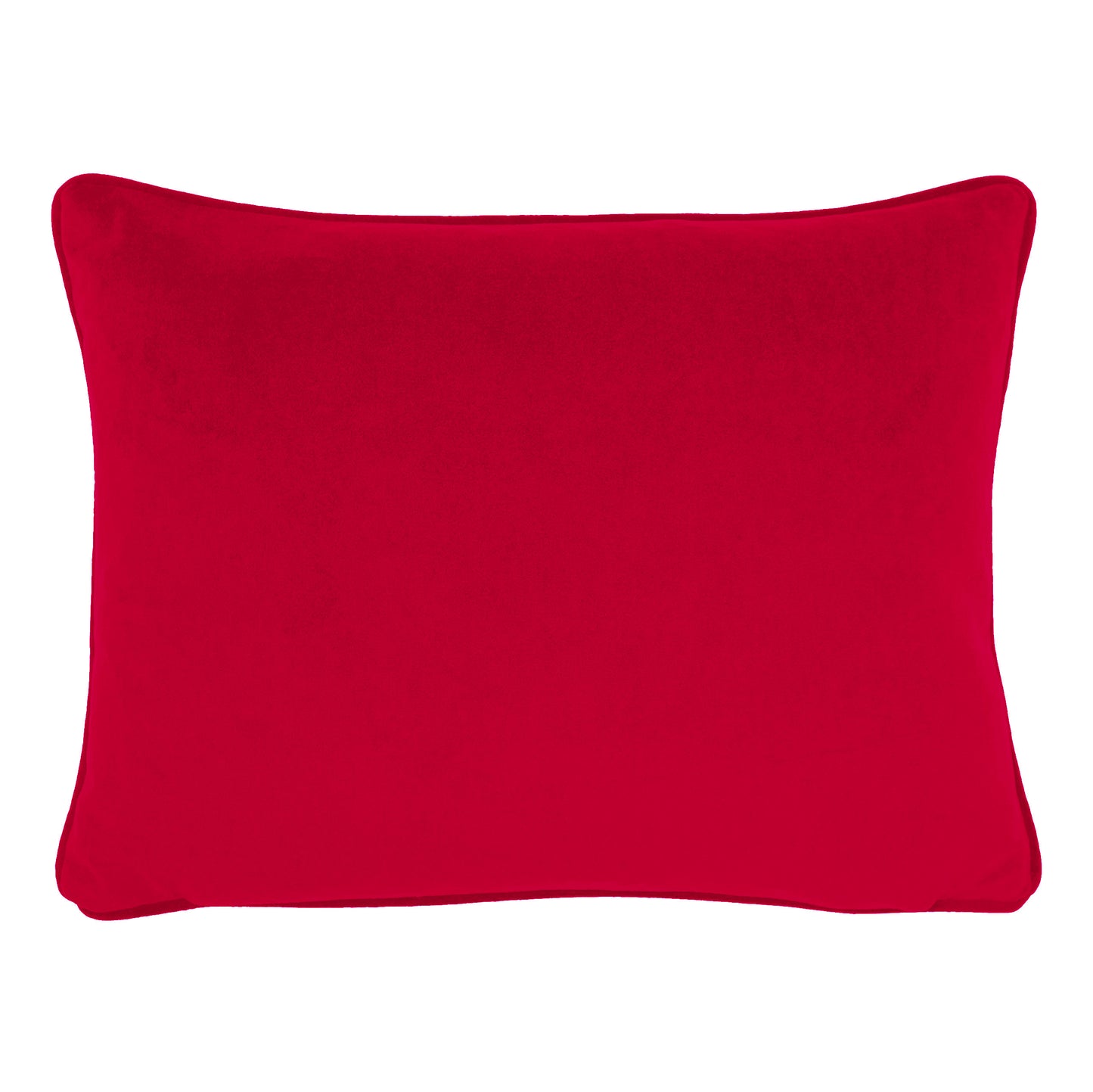 XMAS ROBINS CHENILLE 43X33 C/CASE MULTI