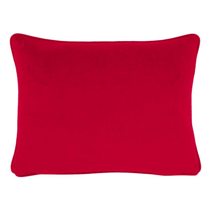 XMAS ROBINS CHENILLE 43X33 C/CASE MULTI