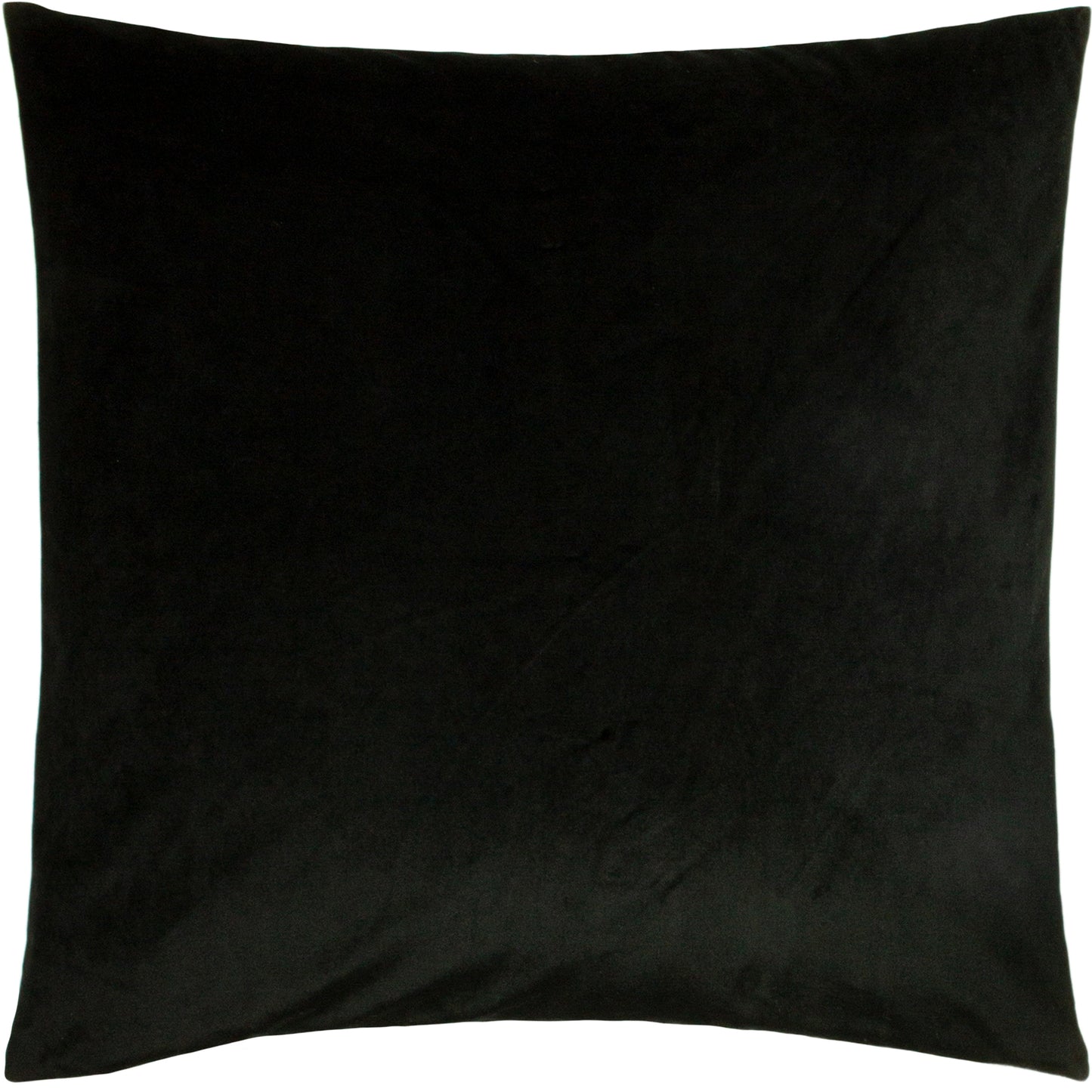 ZEBRA FOLIAGE 50X50 C/CASE GREEN