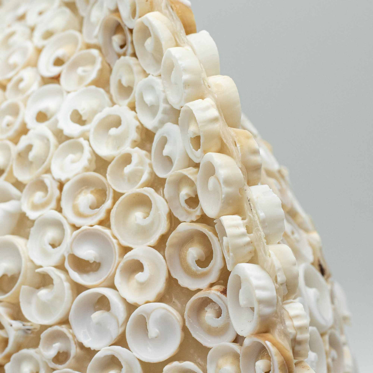 Boho Seashell Table Lamp – Cut Art Shell Large Round